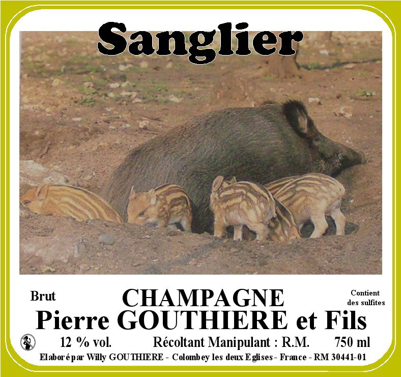 sangliers